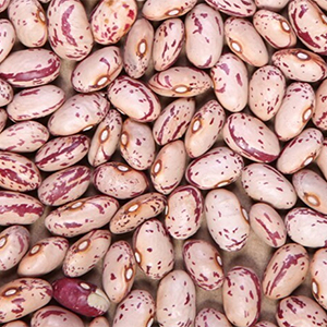 grains-and-spices-cranberry-beans