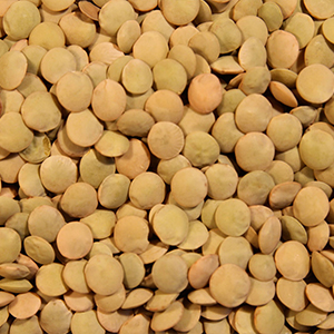 grains-and-spices-laird-lentils