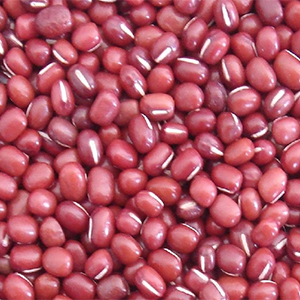 grains-and-spices-small-red-beans