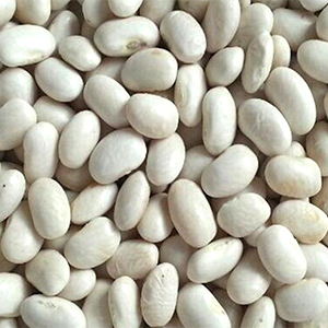 grains-and-spices-white-navy-beans